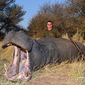 Hippo Hunt Namibia