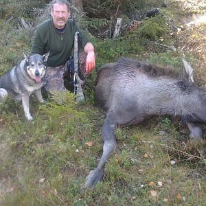 Moose Hunting in Norway