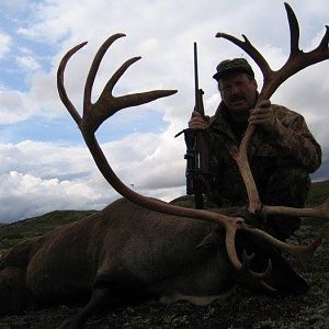 Hunt Caribou Norway