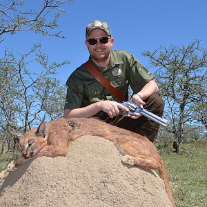South Africa Hunting Caracal