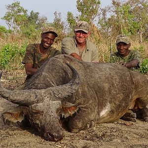 West Arrican Savanah Buffalo Hunt Benin
