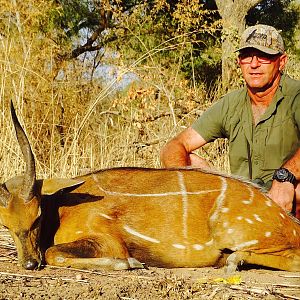 Harnessed Bushbuck Hunting in Benin