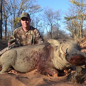 South Africa Bow Hunting Warthog