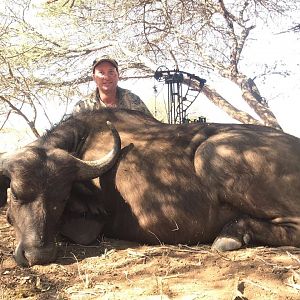 South Africa  Bow Hunt Buffalo Cow