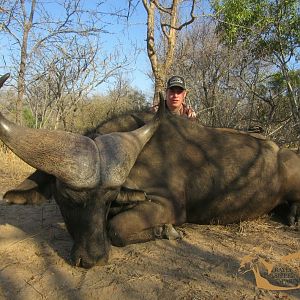 Bow Hunt Buffalo in South Africa