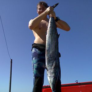 Spearfishing