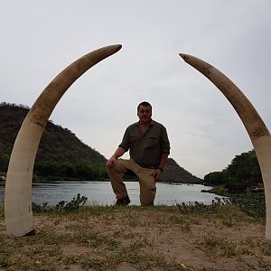 Hunt Elephant Zimbabwe