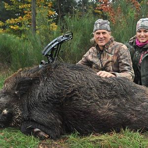 Bow Hunting Wild Boar France