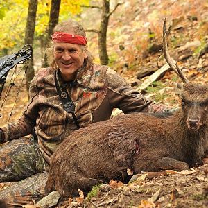 France Hunt Sika Deer