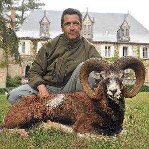 Mouflon Hunting in France