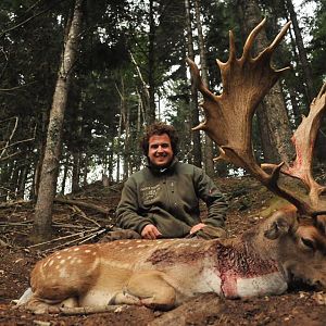 Hunting Fallow Deer France | AfricaHunting.com