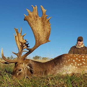 France Hunt Fallow Deer