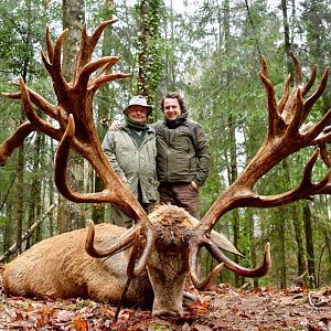 Red Deer Hunting France