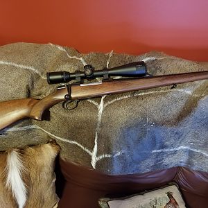 CZ 550 in 6.5x55 rifle in full stock
