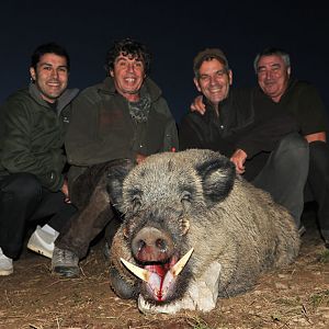 France Hunt Wild Boar