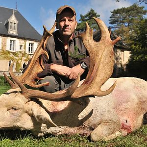 Hunting Fallow Deer in France