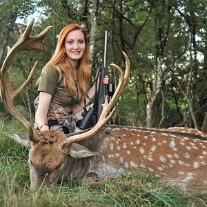 Hunt Fallow deer in France