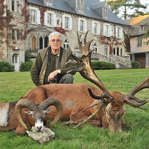 France Hunt Mouflon & Red stag