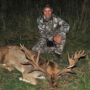 Fallow deer Hunting France