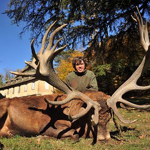 Red Stag Hunting France