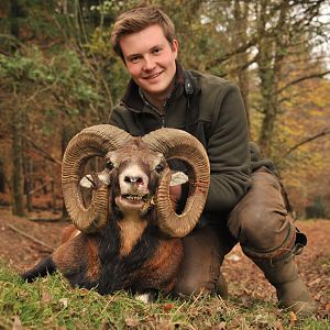 France Hunt Mouflon