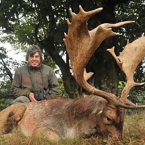 France Hunting Fallow Deer