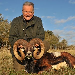 Mouflon Hunt France