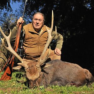 France Hunting Sika Deer
