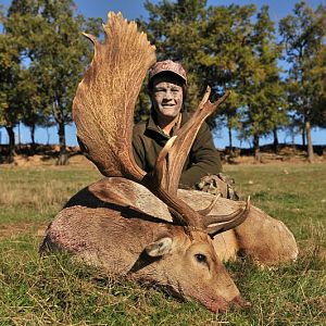 Fallow Deer Hunting France