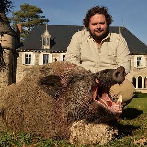 Wild Boar Hunting France