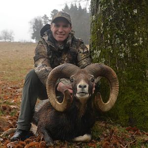 Mouflon Hunting France