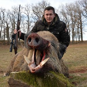 France Hunt Wild Boar