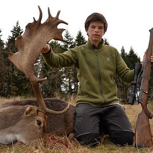 Hunt Fallow Deer France