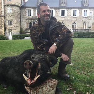 Wild Boar Hunt France