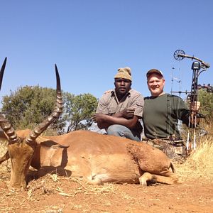 South Africa Bow Hunting Impala