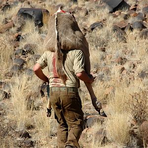 Namibia Kudu Hunt