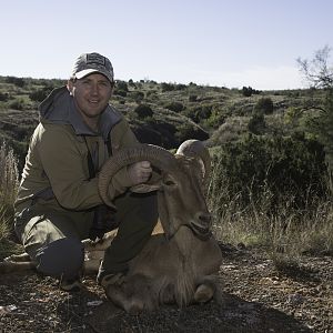 Aoudad Hunt Texas