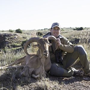 Aoudad Hunt Texas