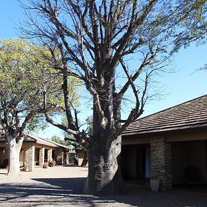 Hunting Lodge in South Africa