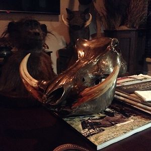 Bronzed Warthog Skull