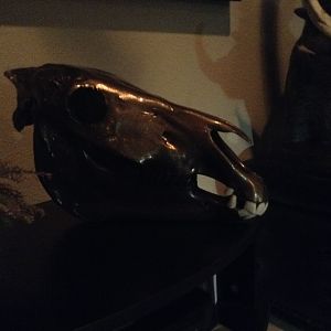 Bronzed Skull