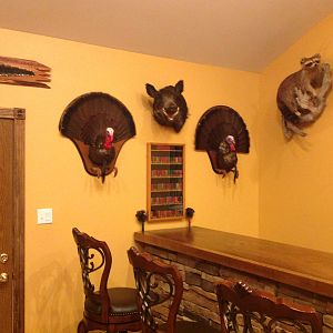 Trophy Room