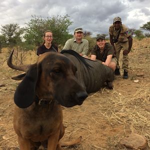 Blue Wildebeest Hunt in Namibia