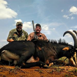 Hunting Sable Antelope in South Africa