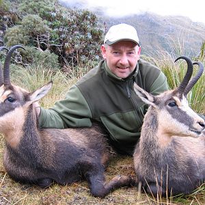 Pyrenean chamois Hunting