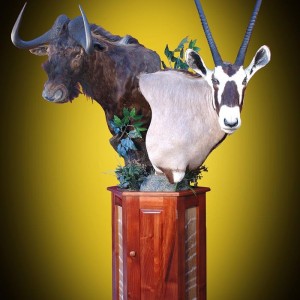 Gemsbuck and Black Wildebeest pedestal
