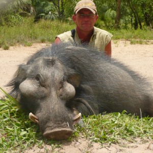 Hunting Giant Forest Hog in Central Africa
