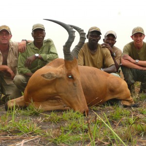 Very good 24' inches lelwel hartebeest hunted in Central African Republic