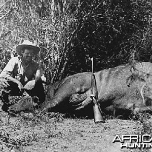 Ernest Hemingway and Buffalo