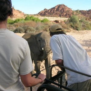 Close Encounters with Elephants in Namibia
